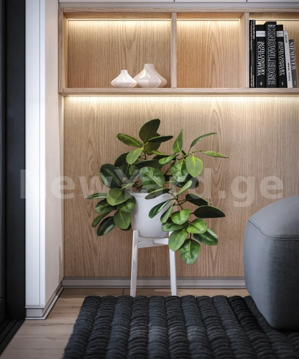 Modern House-38 - фото 11